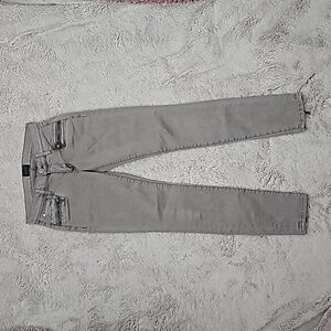Hudson Zipper Pants
